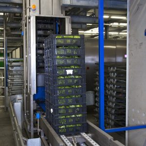 stacked crate elevator 1 Branellico Mašine i oprema za prehrambenu industriju